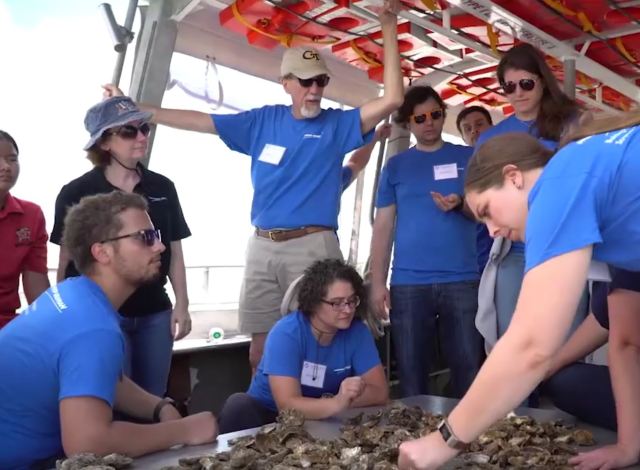 金宝搏188手机app最新下载诺斯罗普·格鲁曼公司的环境可持续发展小组帮助切萨皮克湾的牡蛎